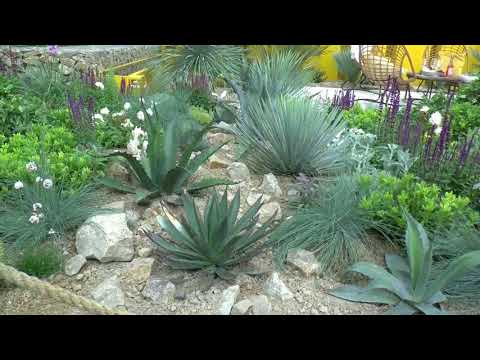 Bloom Gardens Festival 01/06/2018