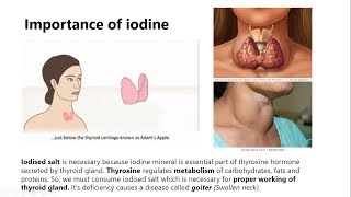 Importance of Iodine and Diabetes, Ch 7 - Control and Coordination Class 10th Science Lecture - 8