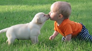 10 Minutes of the Cutest Baby & Dog Playing Outside 🐶