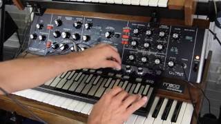Video thumbnail for Future Retro 512 touch keyboard plays the Minimoog Model D by FutureRetroSynths