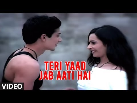 तेरी याद जब आती है (पूरा वीडियो गीत) - कभी ऐसा लगता है | लकी अली