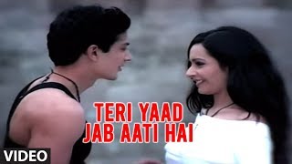 Teri Yaad Jab Aati Hai Music Video