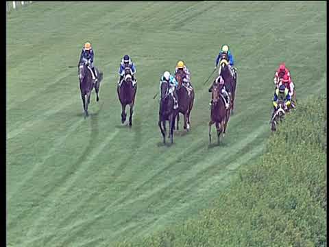 Galoppo 11/06/2019 - 1ª corsa