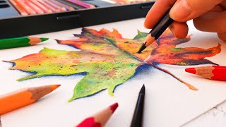 HOW TO USE WATERCOLOR PENCILS: Beginner's Guide