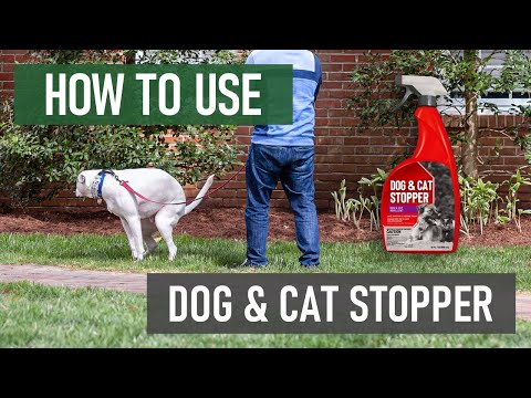 How to Use Dog & Cat Stopper RTU Spray Repellent [DIY Animal Control]