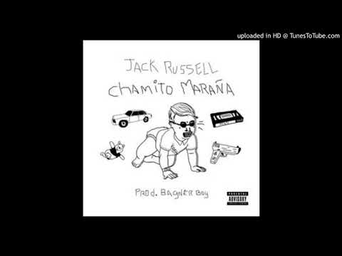 Jack Russell - Chamito Maraña