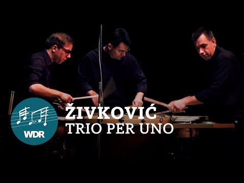 Nebojša Jovan Živković - Trio per uno for percussion | WDR Symphony Orchestra