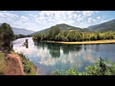 Automatic Eye - Last Summer