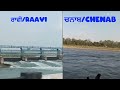 Raavi To Chenab Puchda Shorts