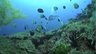preview picture of video 'Banggai Regency (French V) film by Thierry Damilano'