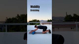 Seated Thoracic Extension demonstration thumbnail