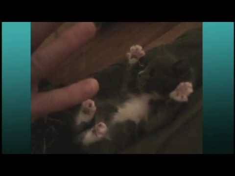 Feel Good Moment of the Day: December 1