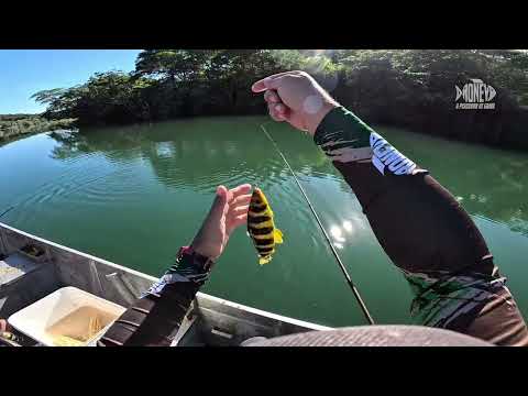 As belezas naturais do Rio Araguaia em Minas Gerais! Muito Piau na linha. @roneyopescadordegoias 