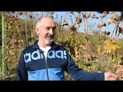 U Rađevini je važno biti pravi domaćin!! Rakija i pčelarstvo u domaćinstvu Mijić - Krupanj