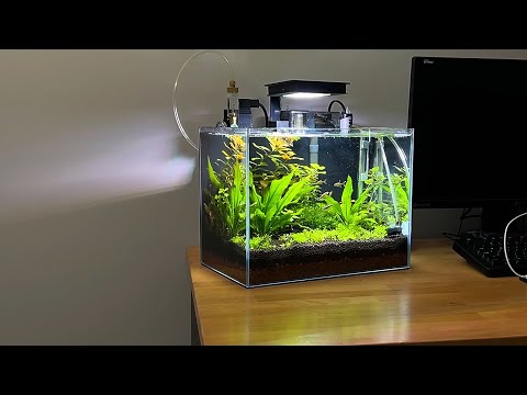 WaterBox Clear 6 - Rambling