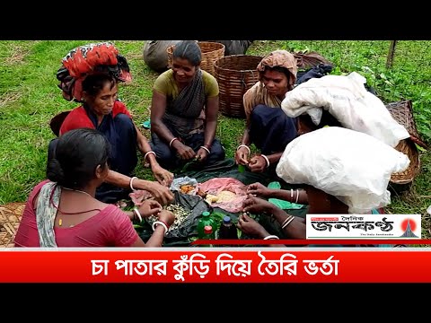 চা পাতার কুঁড়ি দিয়ে বানানো চা শ্রমিকদের বিশেষ ভর্তা ’পাতিচখা’