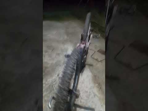 #buenosaires #argentina #alberti #cicloviajeros #brasil #cicloviajeros #mundo #perritos #dog #bici