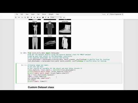 11-785 Spring 2023 Recitation 0D: Dataset & DataLoaders