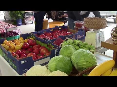 A Year in Our Garden