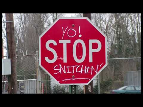 TRUE NELLY - SNITCH CASS DISS