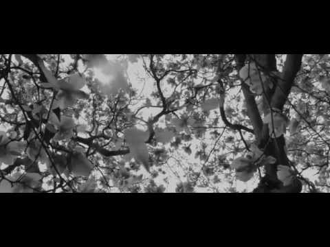 Just For Being - Just For Being - Compensation (Acoustic Video)