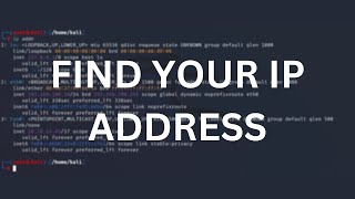 Find IP address using the Linux terminal