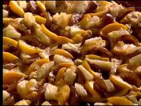 download lagu mp3 mp4 Pizza California Receita, download lagu Pizza California Receita gratis, unduh video klip Pizza California Receita