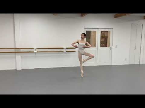 Ashley Tsuyu Burksバークス　アシュリー 粋：  B10