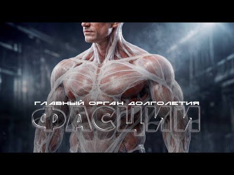 Фасции. Смотреть всем кто хочет долго жить в здоровом теле. Научные исследования
