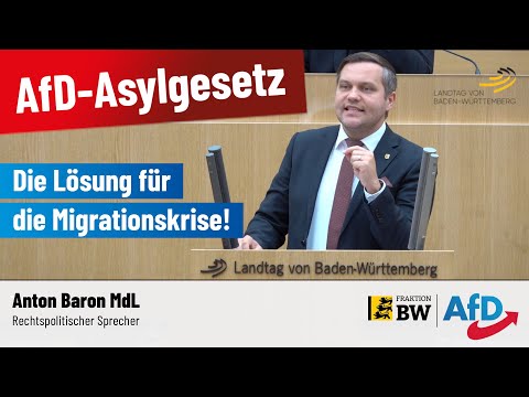 Das AfD-Asylgesetz – Die Lösung für die Migrationskrise!