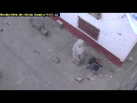 Video Cogoteo y agresion