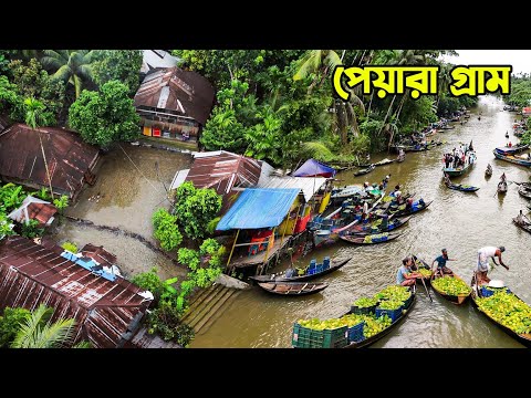 পিরোজপুরের পেয়ারা গ্রাম আদমকাঠী || Panorama Documentary