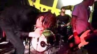 The Riverboat Gamblers - &quot;Black Nothing Of A Cat&quot; Live