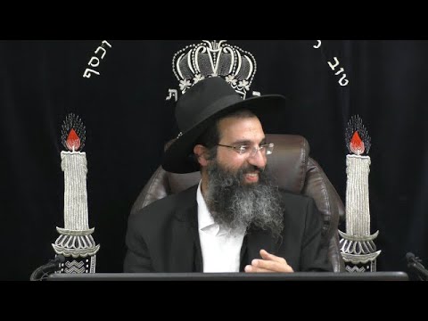 אוהבה כגופו 🏳 הרב שי עובד | שני - פרשת פקודי - תשפב