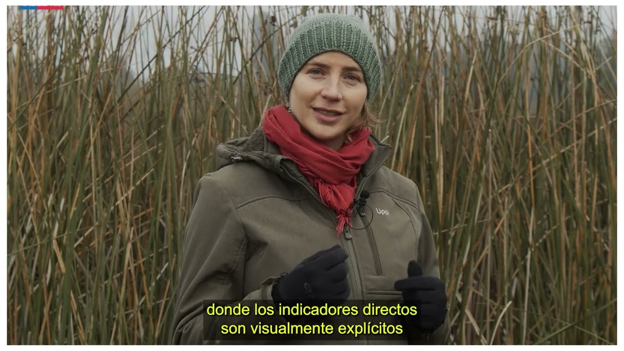 Módulo 2 Video 1 - Introducción criterio hidrología