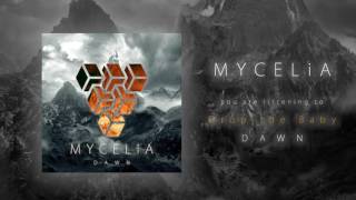MYCELIA - DAWN - Drop the Baby