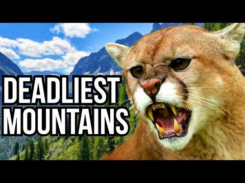 Ranking 7 Of The Deadliest Mountain Ranges Based On Their Wildlife