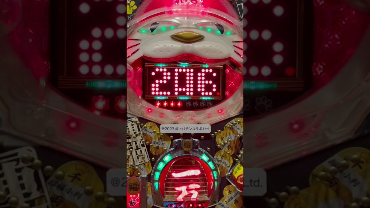 Shorts キャットラッシュ