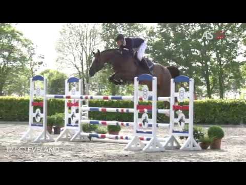 Trailer AS Online Auktion 2020