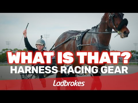 What Is That? Harness Racing Gear