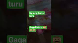 Download lagu ngintip tante tidur😍😍😍 mp3