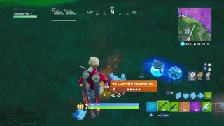 静かに、アリーナ！　　#Fortnite#フォートナイト#レインボーシックスシージ#シージ#デビルメイクライ5