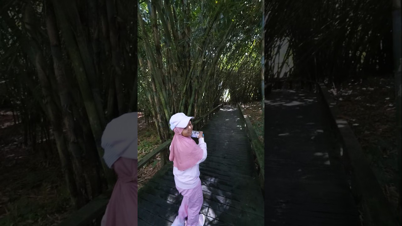 Berasa di Jepang! Padahal Ini Hutan Bambu di Desa Penglipuran Bali #shorts