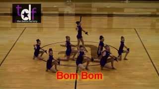 preview picture of video 'The Dance Factory 2014 Level 3 Jazz - Bom Bom (DHS)'