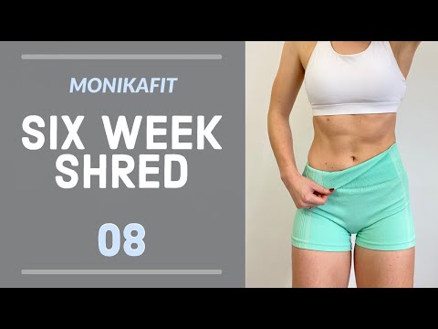 ABS WORKOUT (No Equipment) // 6 Week Home Shred