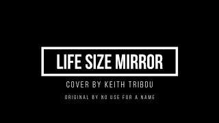 Life Size Mirror - No Use For A Name - Piano Cover by Keith Tribou