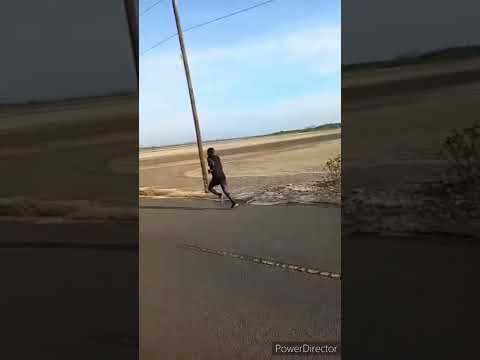 Clásica Sabado de Gloria 5k y 10k Carrerra - Aguadulce