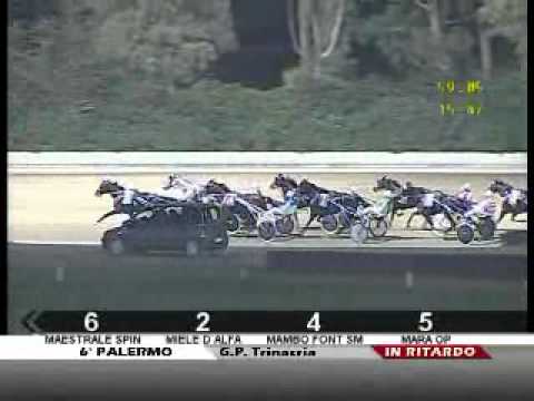 Premio Trinacria 2010 -Merckx Ok