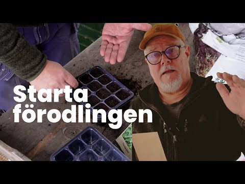 Dags att starta förodlingen