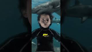 ORIGEM DO SHARKBOY